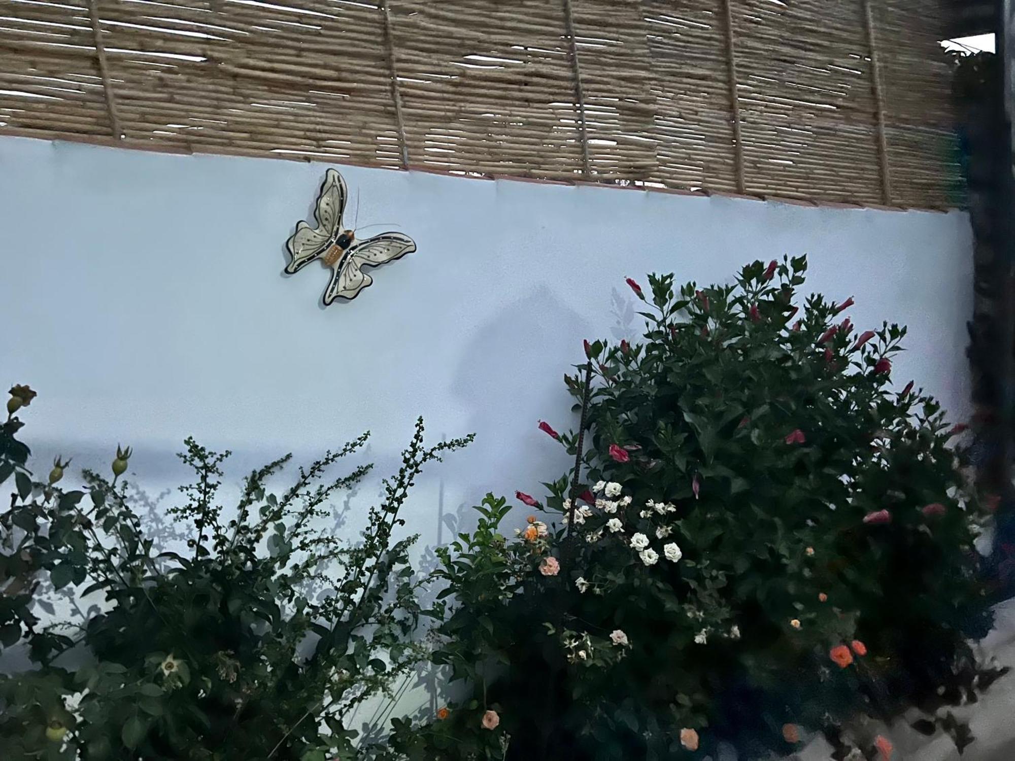 Casa Rural Las Casillas マラガ エクステリア 写真